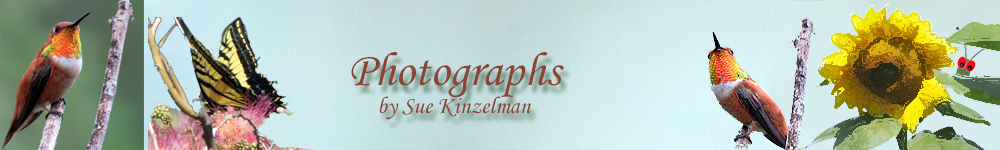 Photo page banner