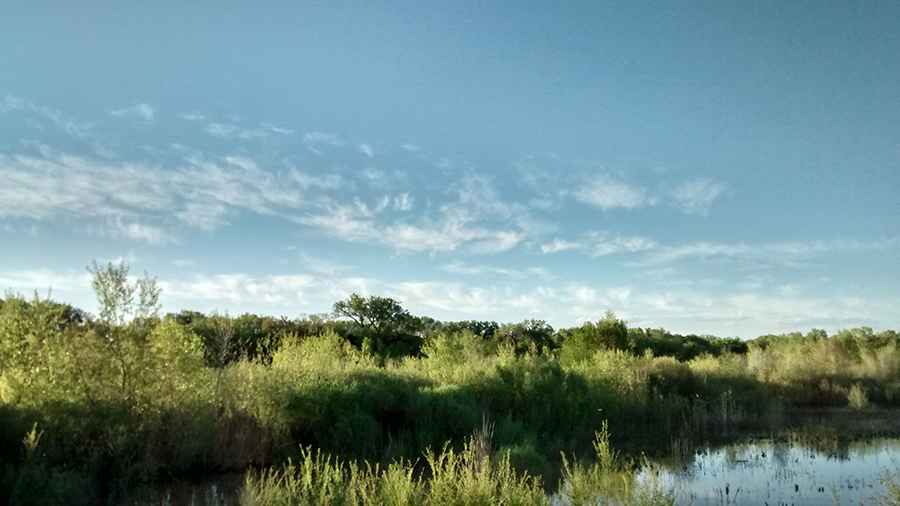 The Rio Grande Los Lunas New Mexico